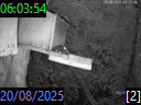 06:03:54