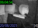 06:04:54