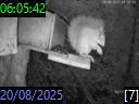 06:05:42
