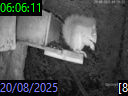06:06:11