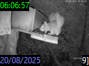 06:06:57
