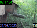07:17:34