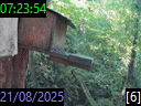 07:23:54