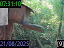 07:31:10