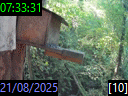 07:33:31