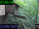 07:00:59