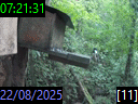 07:21:31