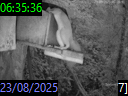 06:35:36