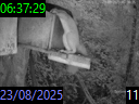 06:37:29
