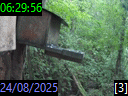 06:29:56