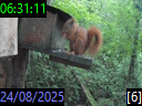 06:31:11