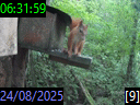 06:31:59