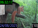 06:32:17