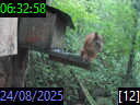 06:32:58