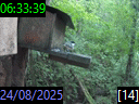 06:33:39