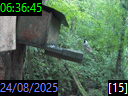 06:36:45