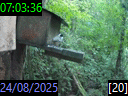 07:03:36