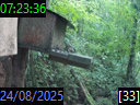 07:23:36