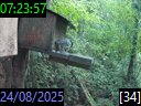 07:23:57