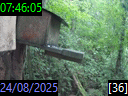 07:46:05