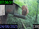 07:56:51