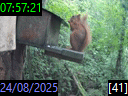07:57:21