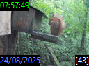 07:57:49