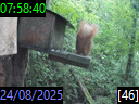 07:58:40