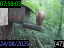 07:59:03