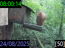 08:00:14