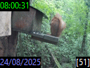 08:00:31