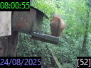 08:00:55