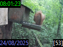 08:01:23