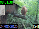 08:01:38