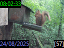 08:02:33