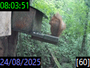 08:03:51