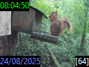 08:04:50