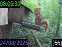 08:05:30