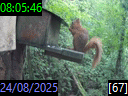 08:05:46