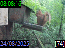 08:08:16