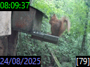 08:09:37