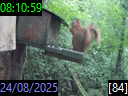 08:10:59
