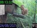 08:13:32