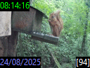 08:14:16