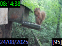 08:14:38
