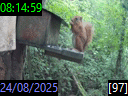 08:14:59