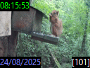 08:15:53