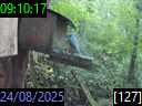 09:10:17