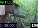 09:11:55