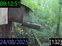 09:12:51